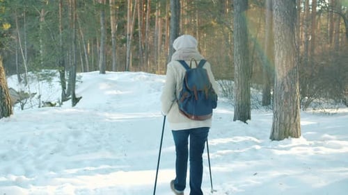 Active Mature Woman Enjoying Nordic Walking with Ski Poles in Winter Forest