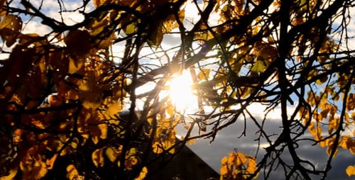 Otoño
