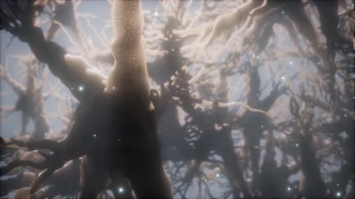 Abstract Neural Network Neurons Plexus Science Background