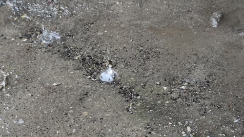 Rain Drops Fall On The Ground