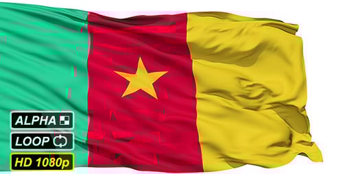 Waving Flag of Cameroon with Alpha Channel