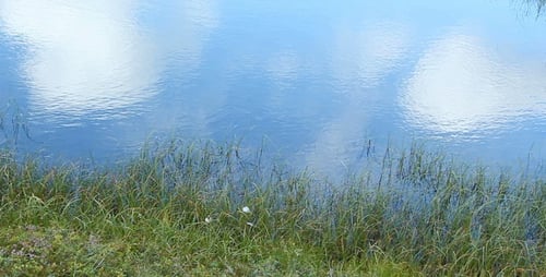 Pond