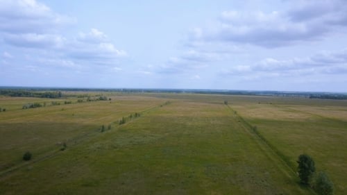AERIAL: Flight Over The Wheat Field.