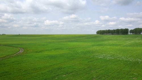 LUFTBILD: Flug über die grüne Wiese.