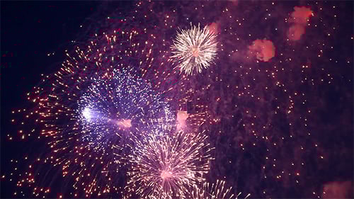 Vibrant Fireworks Exploding in Night Sky