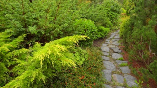 Path & Garden