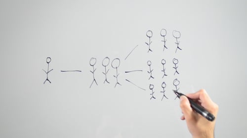 Connexion sociale, réseautage d'entreprise