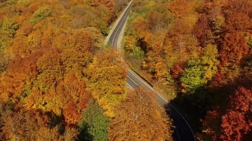 Flying Above Autumn Forest With Mountain Road