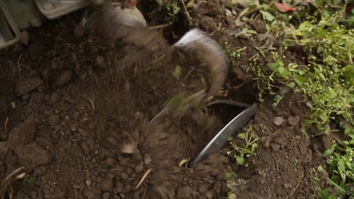 Soil Tiller Working the Garden