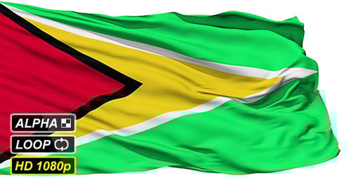 Realistic Waving Guyana National Flag Loop