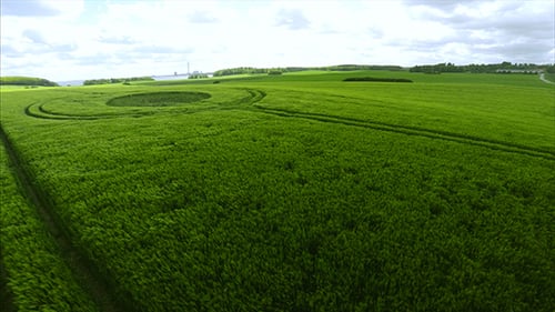 Large Green Field During the Summer Season