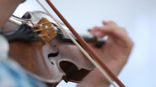 Violin Bow Plays Strings of Music Instrument