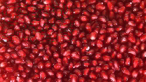Close Up of Bright Red Pomegranate Seeds