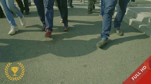 Atravessando a estrada