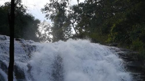 Scenic Waterfall Cascading Through a Lush Green Forest