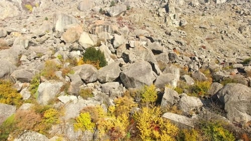 Flying Above Autumn Forest With Mountain