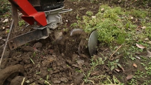 Cultivator Tills Soil in Garden Environment