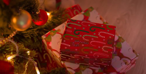 Christmas Tree Presents Underneath Home Interior