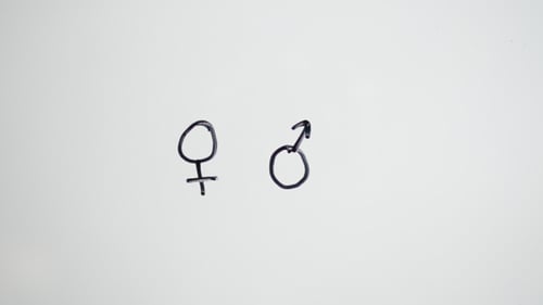 Drawing Male and Female Gender Symbols on White