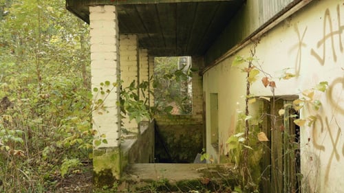 Along the Wall of the Abandoned Factory