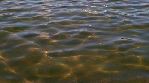 Water Ripples with Sunlight Reflecting on the Bottom