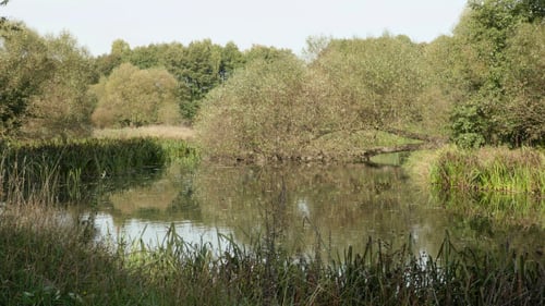 River in the Park