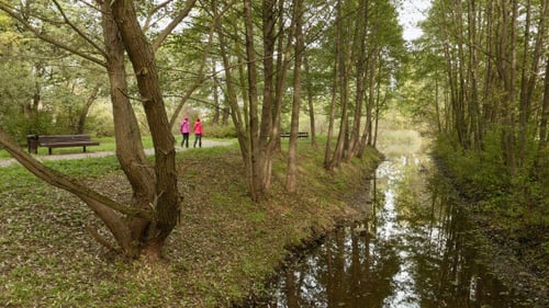 River in the City Park (2 Views)