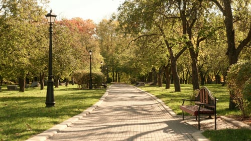 City Park in the Autumn
