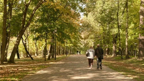 Erwachsenes Paar im Herbstpark