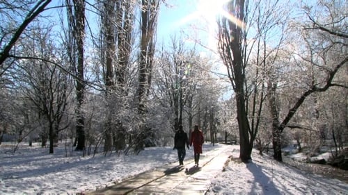Junges Paar spaziert im Winterpark