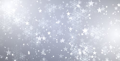 Weihnachtsstern-Flocken
