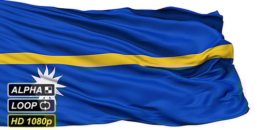 Nauru National Flag Realistic Waving Animation