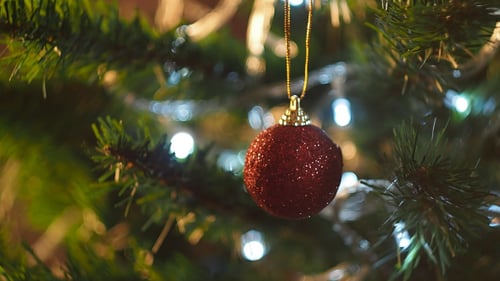 Red Christmas Ornament Hanging on Green Tree Branch
