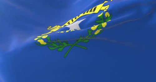 Flag of American State of Nevada