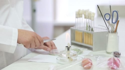Mikrobiologische Laborarbeit mit Reagenzgläsern