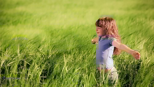 Happy Child Enjoying In Spring Field
