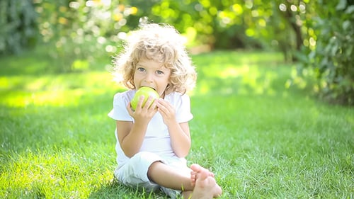 Boy Eating Apple in a Sunny Green Meadow