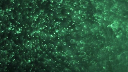 Green Particles Abstract