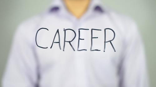 Career