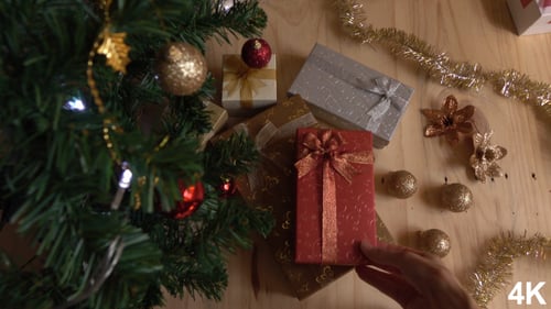 Holiday Presents Around Christmas Tree Being Arranged