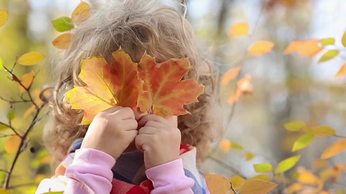 Cute Child Playing with Autumn Leaves in Forest