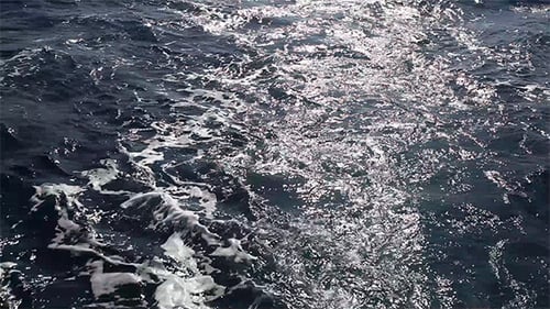 Ocean Surface Shimmers with Sunlight Reflections