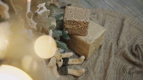 Placing Christmas Gifts Under the Tree