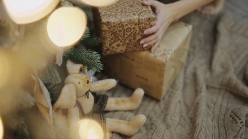 Christmas Presents Under Decorated Tree at Home