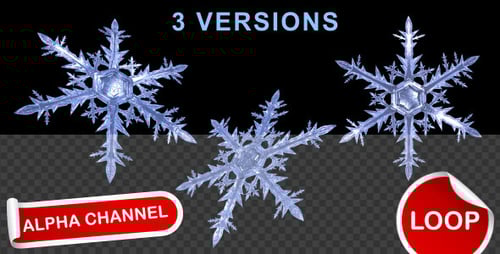 Animated Icy Snowflakes with Alpha Channel Loop