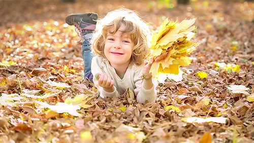 Child Playing in Autumn Leaves With Fall Colors