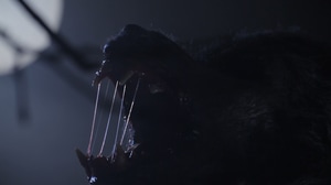 Wolfpack Silhouette Run Animation, Elements Motion Graphics ft. wolf ...