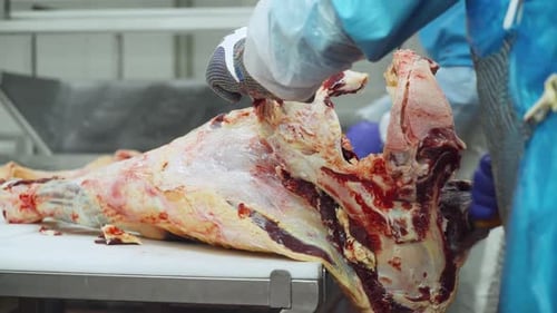 Meat Processing and Butchering in a Food Factory