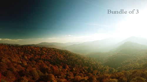 Over Forest in Autumn Mountains
