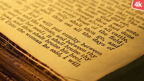 Old Holy Bible 101